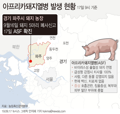 농림축산식품부는 17일 경기 파주 돼지농장에서 발생한 아프리카돼지열병이 확진됐다고 밝혔다.