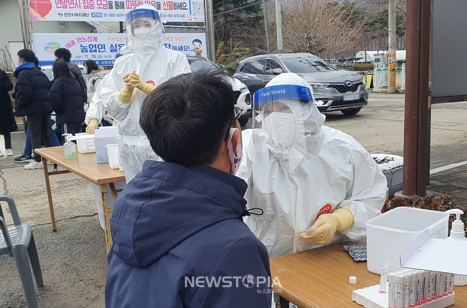 충남 천안에서 종교시설을 기반으로 공동생활을 하는 마을에서 3일간 209명(천안 208명, 아산 1명)의 확진자가 발생한 가운데 23일 천안시가 인근 면사무소에 선별진료소를 설치하고 코로나19 검사를 진행하고 있다. 2021.11.23. (사진=천안시 제공)