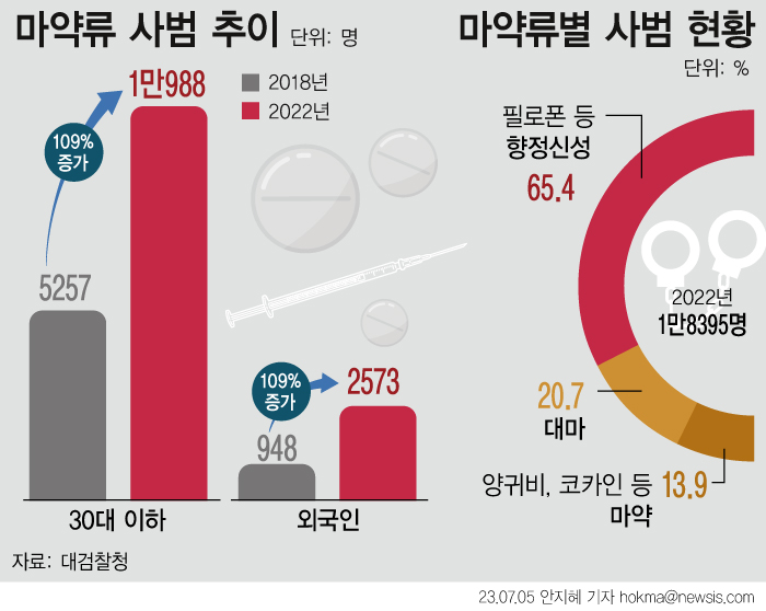 검찰에 따르면 지난해 마약류 사범은 총 1만8395명으로 2018년 1만2613명 대비 45.8% 증가했다. 특히 10명 중 6명이 30대 이하인 것으로집계됐다. 가장 많이 이용한 마약은 필로폰 등 향정신성의약품(향정)으로 총 1만2035명(65.4%)이 적발됐다. ⓒ뉴시스
