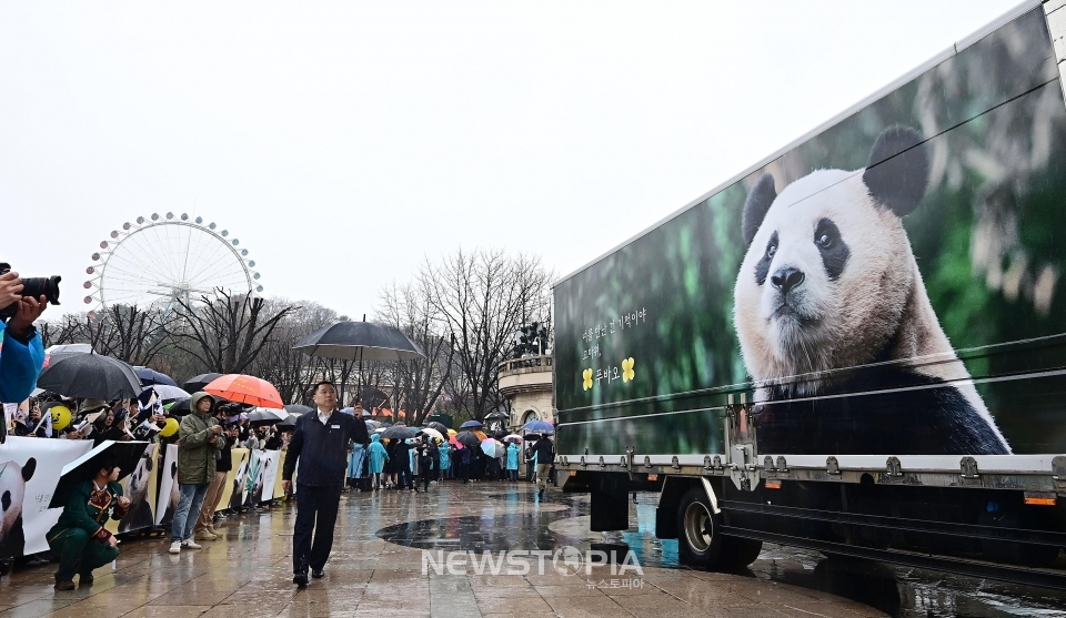 3일 오전 경기도 용인시 에버랜드에서 시민들이 중국으로 떠나는 푸바오를 싣고 있는 무진동 특수 차량을 보며 배웅하고 있다. ⓒ뉴시스
