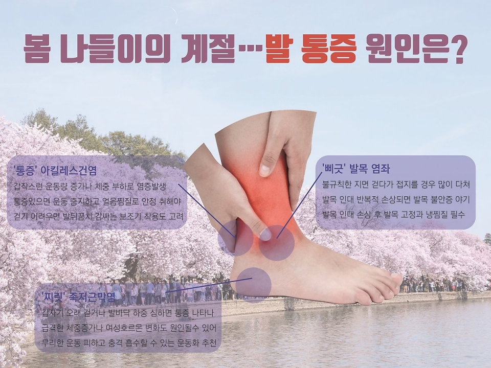 사진출처:뉴시스