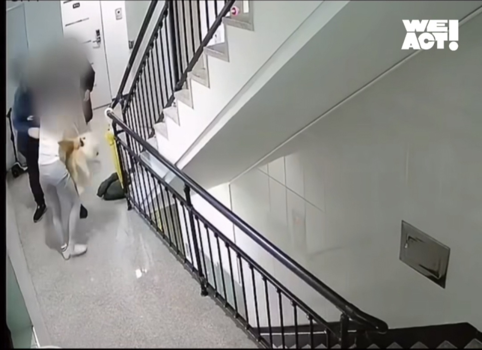사건 당일 모습. (사진은 동물구조단체 사단법인 위액트 제공)