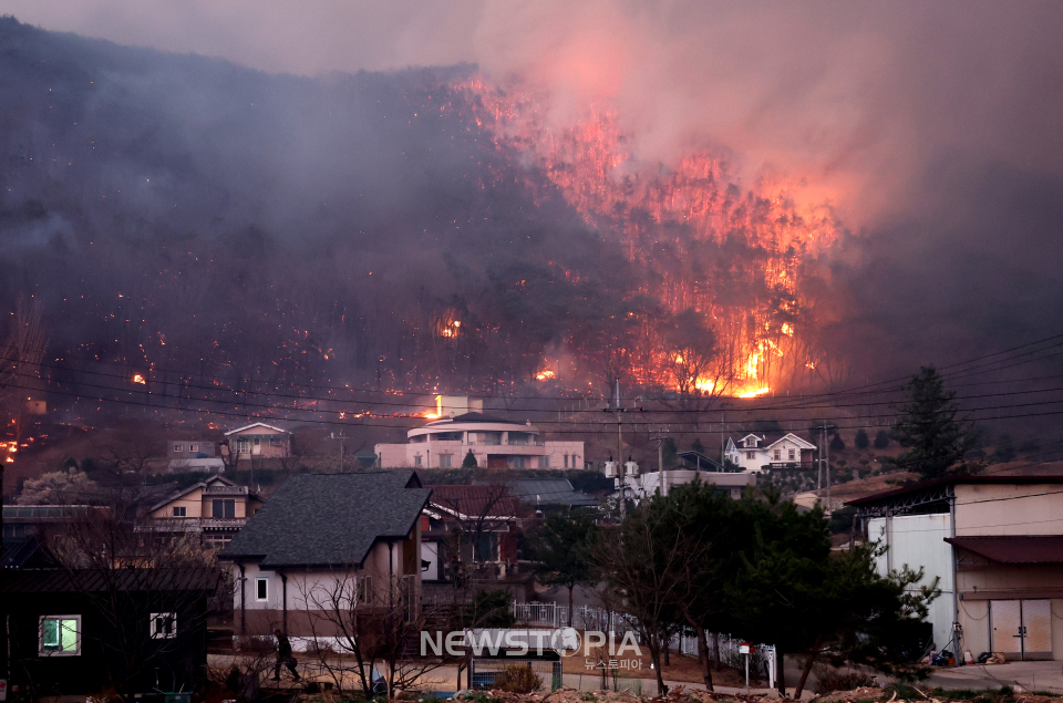 경북 의성군 산불 발생 나흘째인 25일 산불이 안동시 남후면 광음리 마을 인근까지 번지고 있다. ⓒ뉴시스